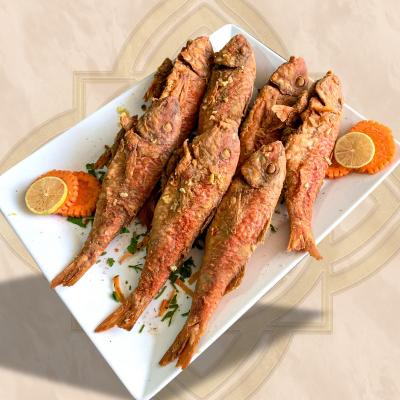 Red Mullet